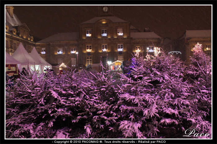 sapins sur la place Ducale par paco artiste peintre, illustrateur graphiste